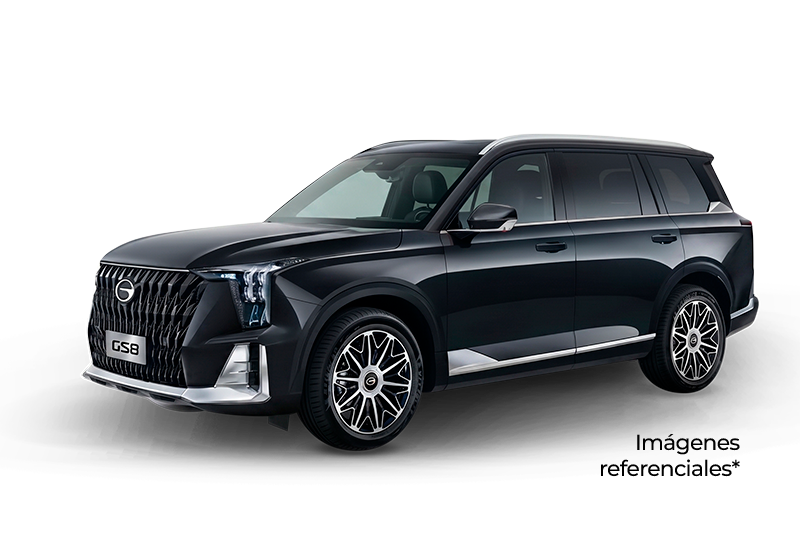 GS8  2.0T AT GX 4WD